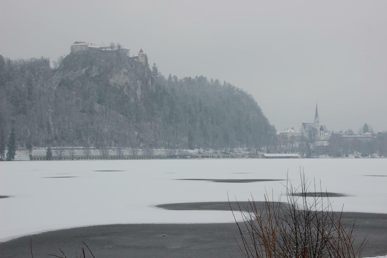 Bled4u *