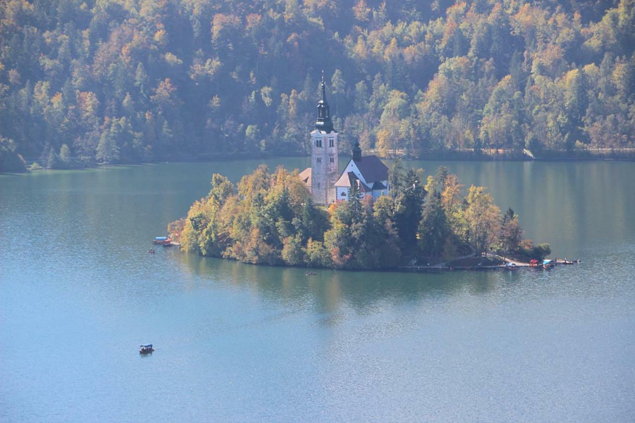 Bled4u * Bled